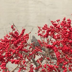 Meet your Posher, Jerry